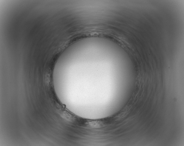 X0000062860417200601130953