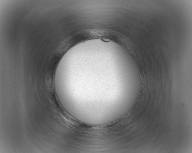X0000062860418200601130953