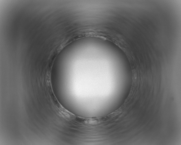 X0000062860419200601130953