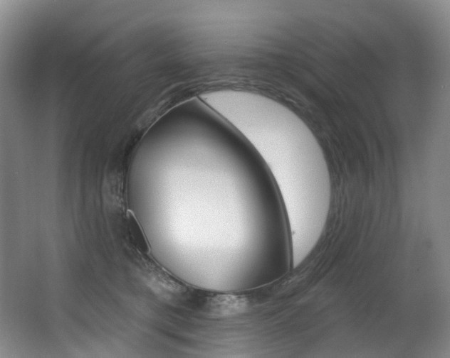 X0000062860421200601130953