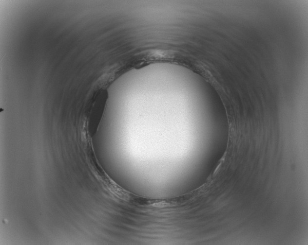X0000062860423200601130953
