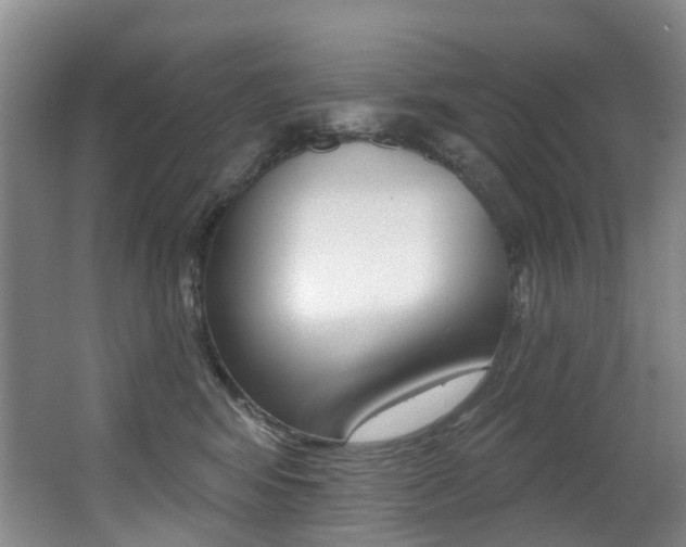 X0000062860424200601130953