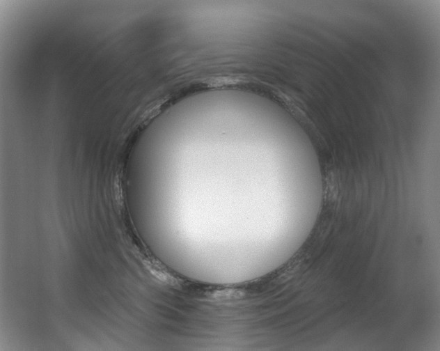 X0000062860426200601130953