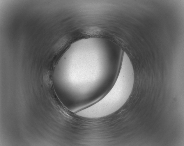 X0000062860428200601130953
