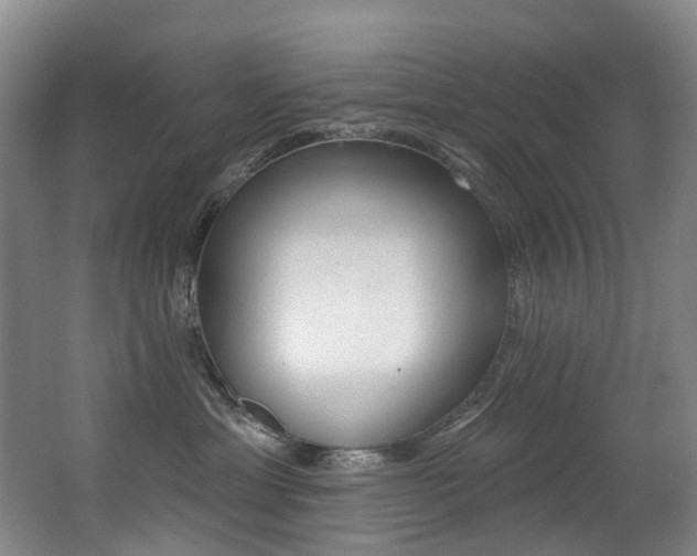 X0000062860429200601130953