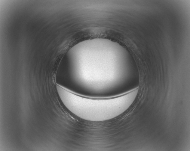 X0000062860432200601130953