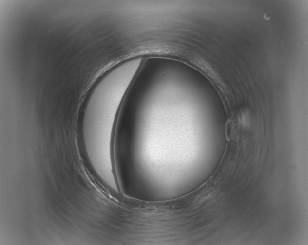 X0000062860434200601130952