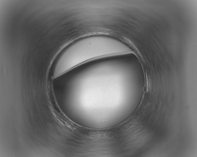 X0000062860435200601130952