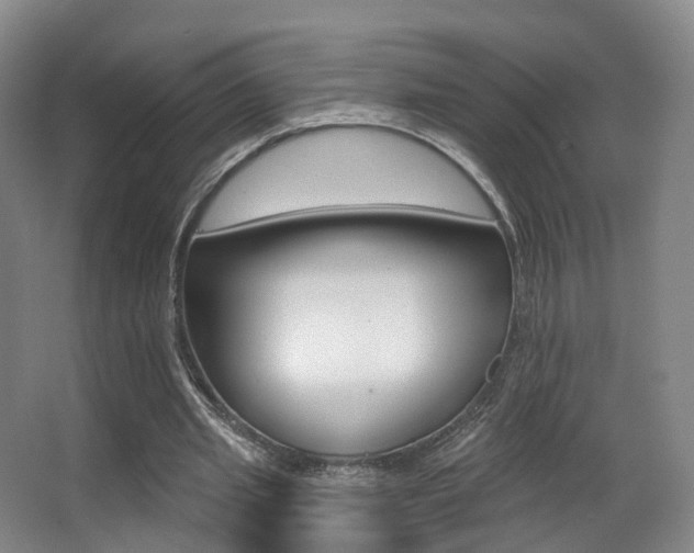 X0000062860437200601130952