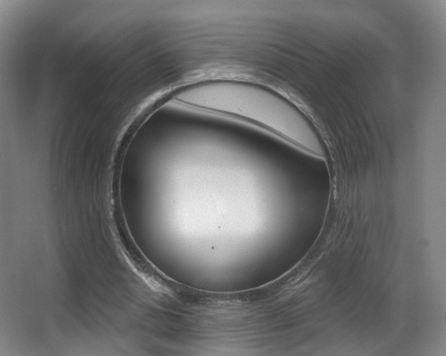 X0000062860438200601130952