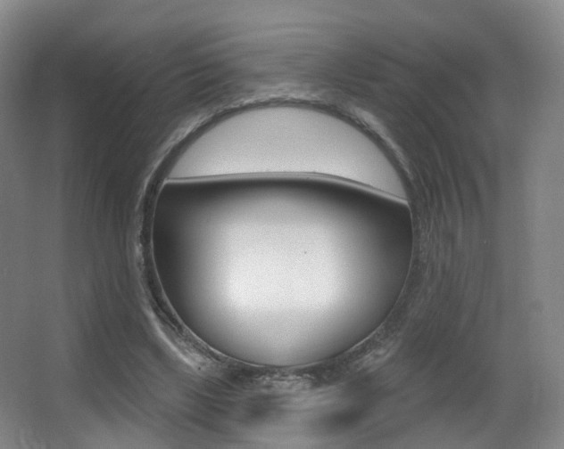 X0000062860443200601130952