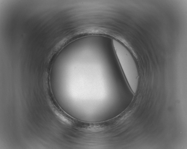 X0000062860445200601130952
