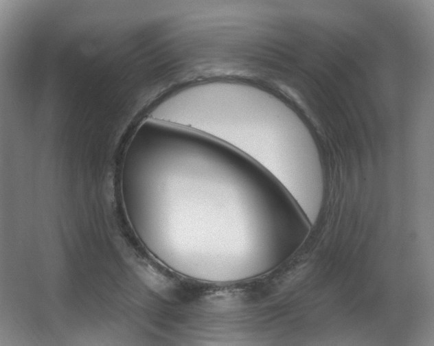 X0000062860447200601130952