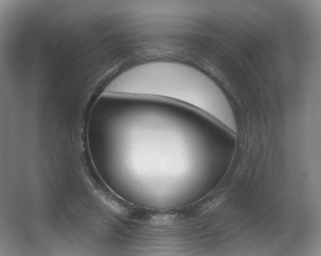 X0000062860450200601130952
