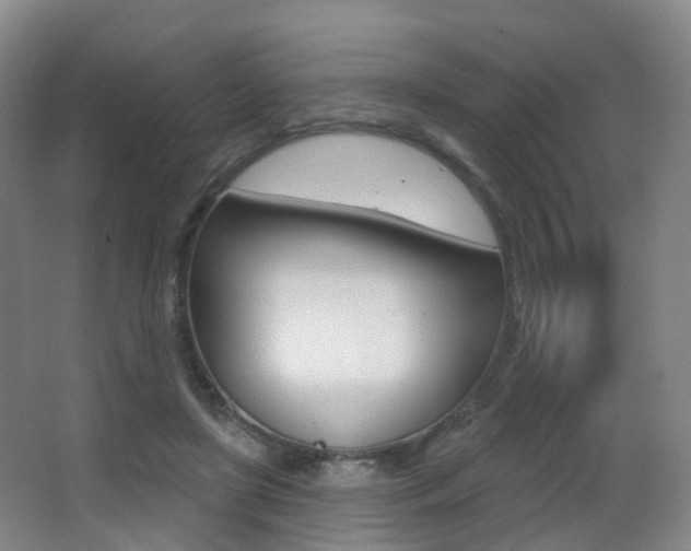 X0000062860451200601130952
