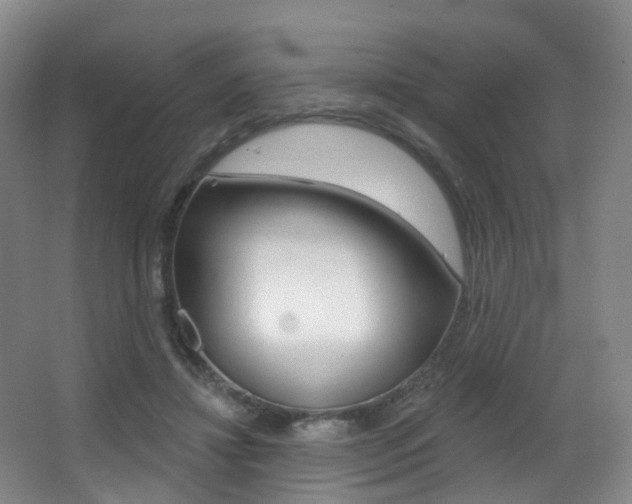 X0000062860452200601130952