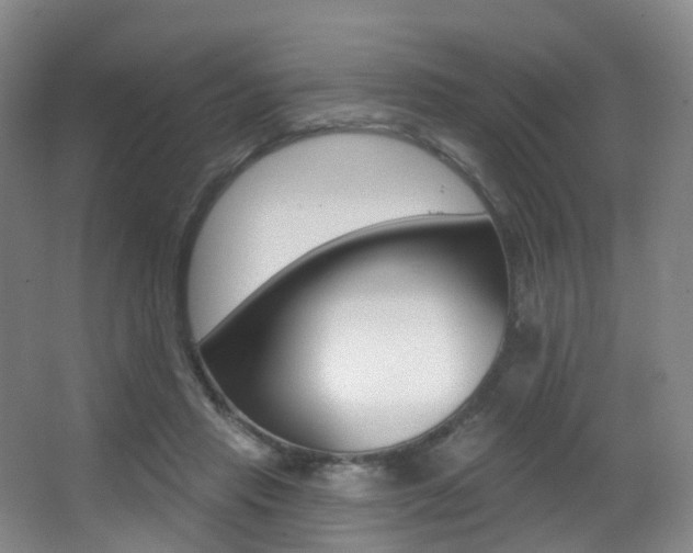 X0000062860453200601130952