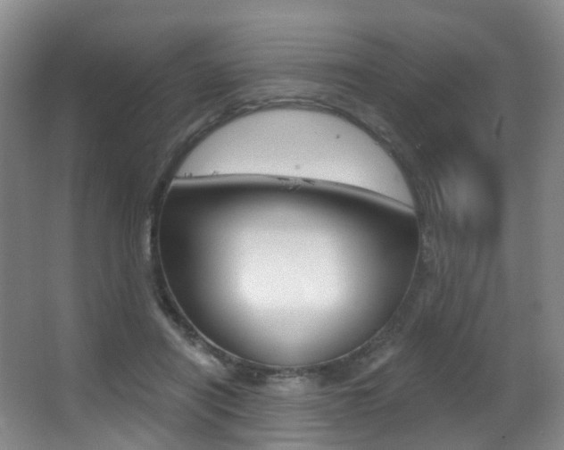 X0000062860454200601130952