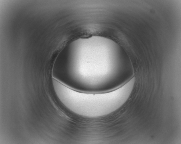 X0000062860456200601130952