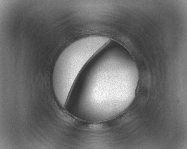 X0000062860457200601130952