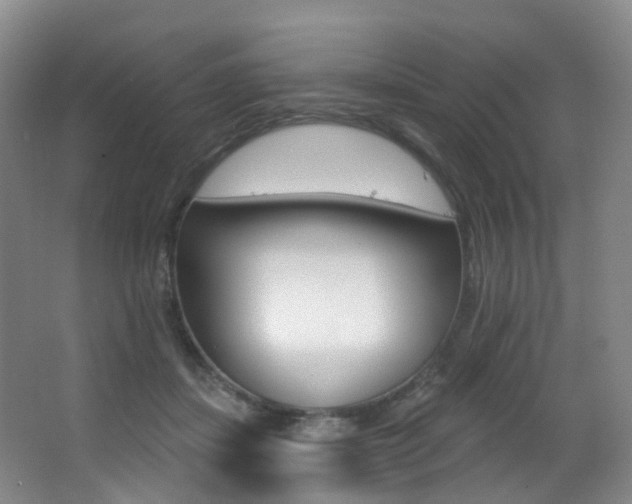 X0000062860459200601130952