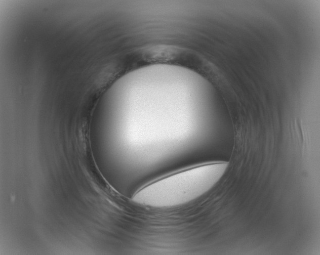X0000062860460200601130952