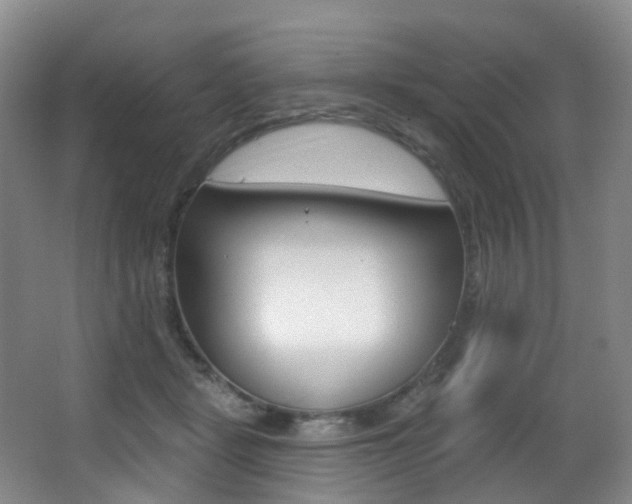 X0000062860461200601130952