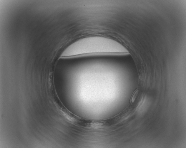 X0000062860462200601130952