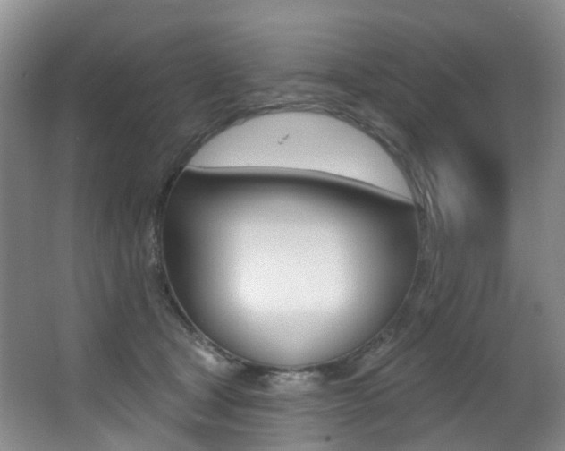 X0000062860465200601130952