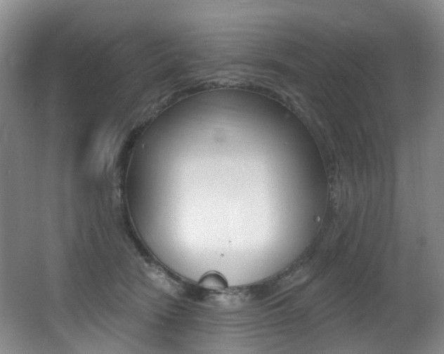 X0000062860466200601130952