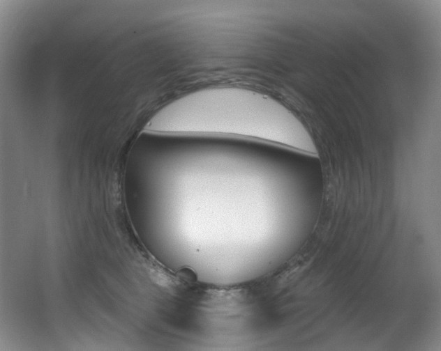 X0000062860469200601130952