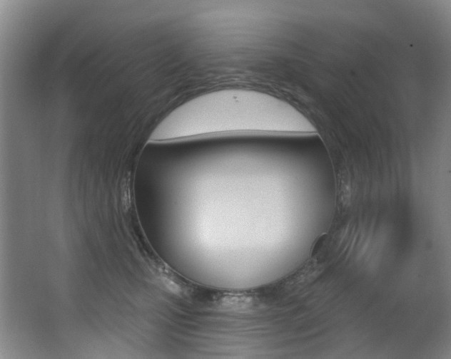 X0000062860471200601130952