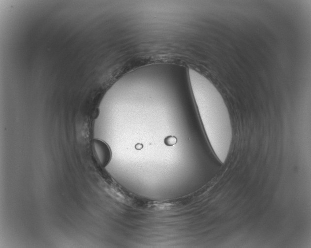 X0000062860472200601130952