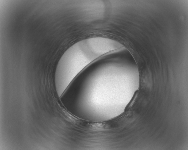 X0000062860473200601130952