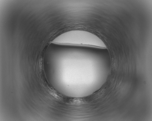 X0000062860475200601130952