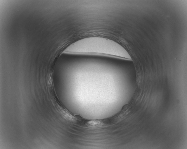 X0000062860477200601130952