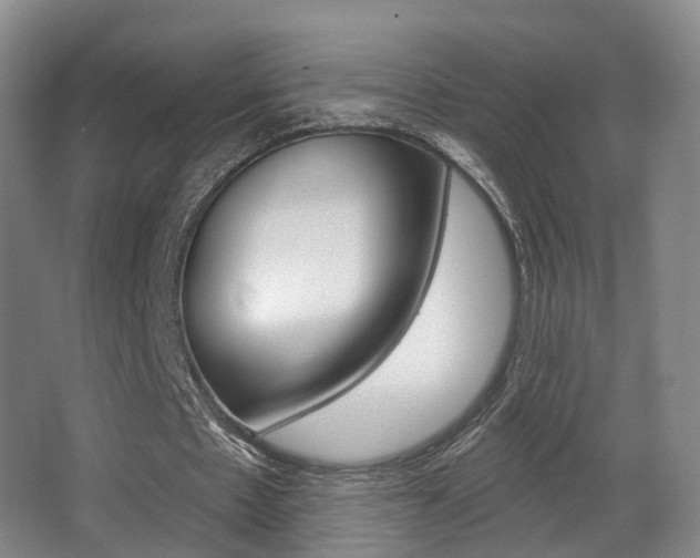 X0000062860481200601130952