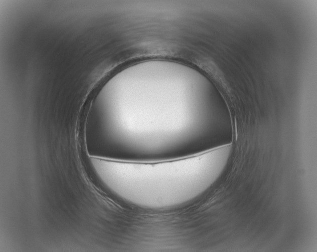 X0000062860483200601130952