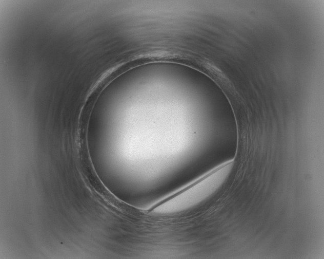 X0000062860484200601130952