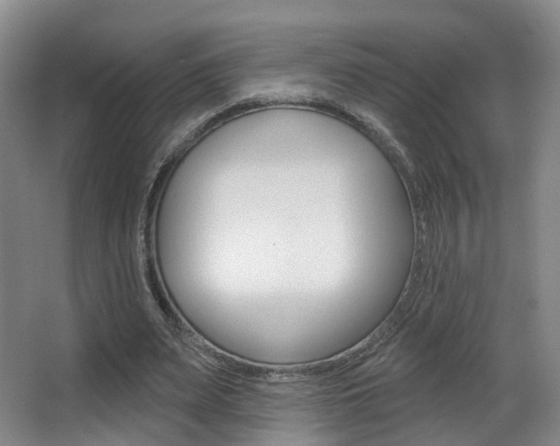 X0000062860487200601130952