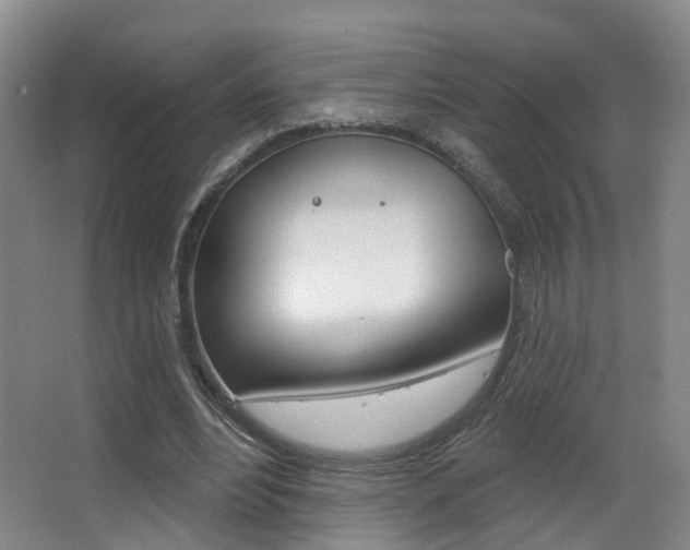 X0000062860488200601130952