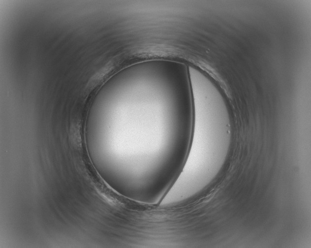 X0000062860489200601130952