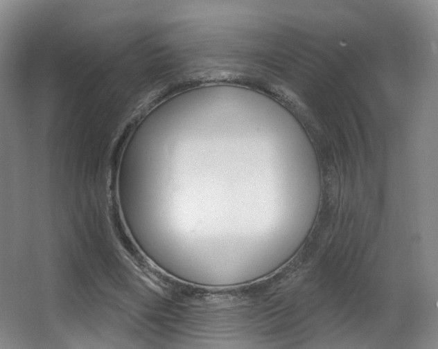 X0000062860490200601130952