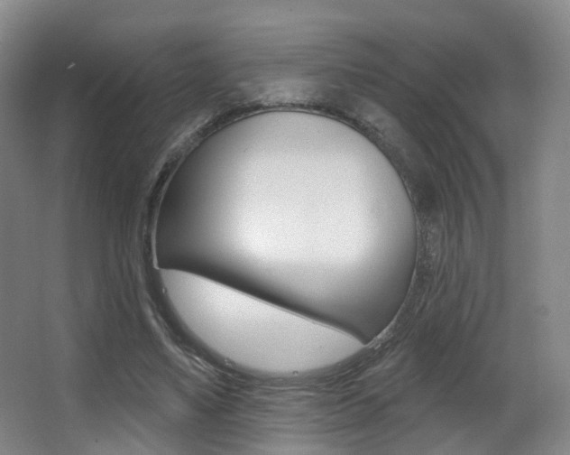 X0000062860491200601130952