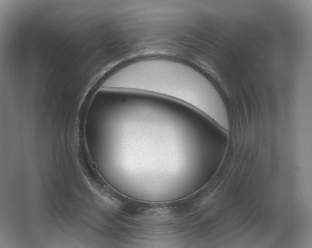 X0000062860492200601130951