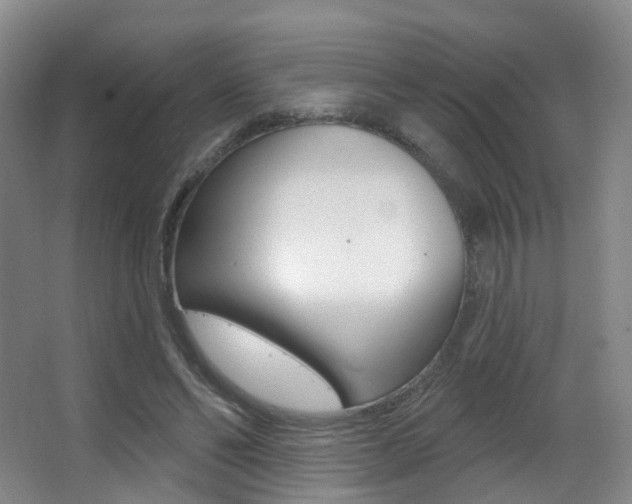 X0000062860494200601130951