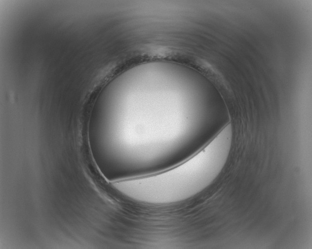 X0000062860496200601130951