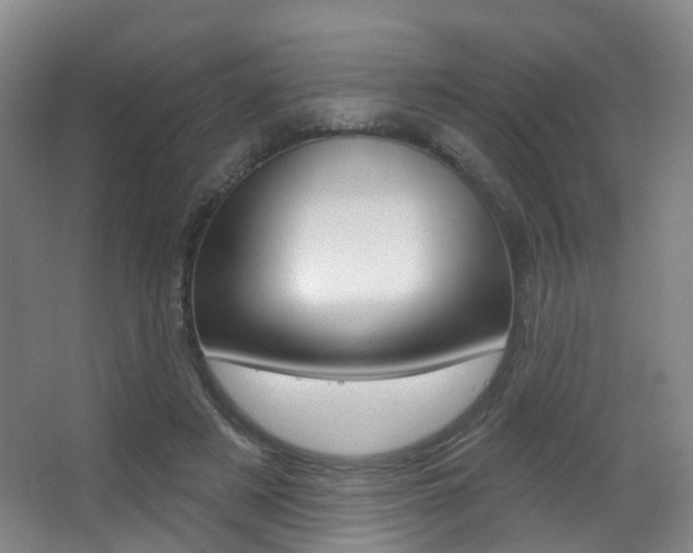 X0000062860497200601130951
