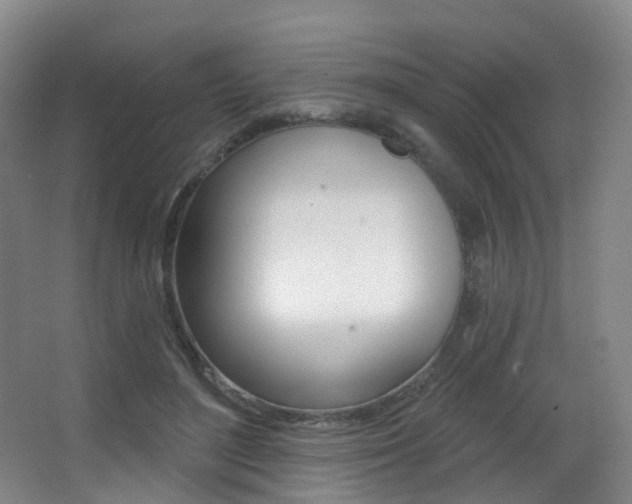 X0000062860500200601130951