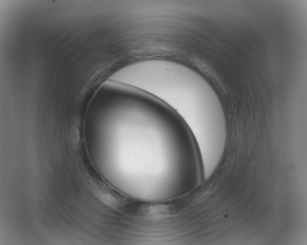 X0000062860501200601130951
